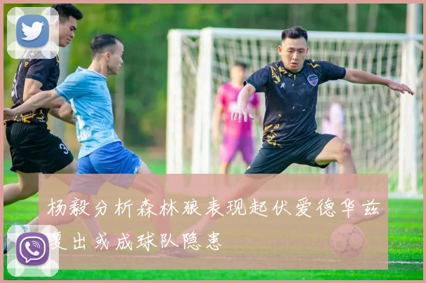 杨毅分析森林狼表现起伏爱德华兹复出或成球队隐患