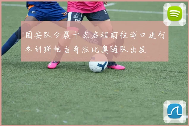国安队今晨十点启程前往海口进行冬训斯帕吉奇法比奥随队出发